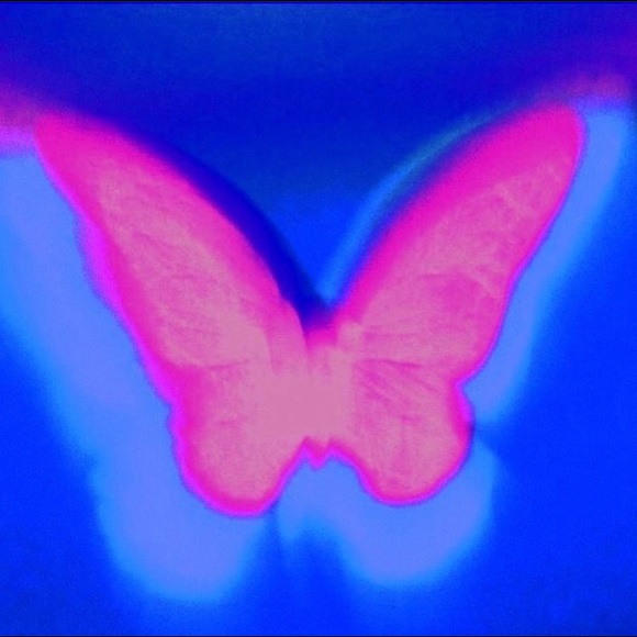 Meet your Posher, Lexi - Picture 1 of 1